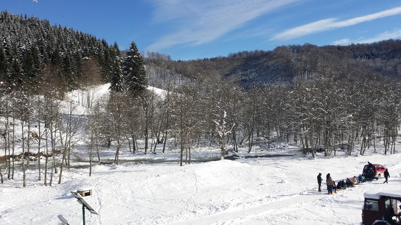 Cabana Barlogul Lupilor Berevoesti Exterior foto